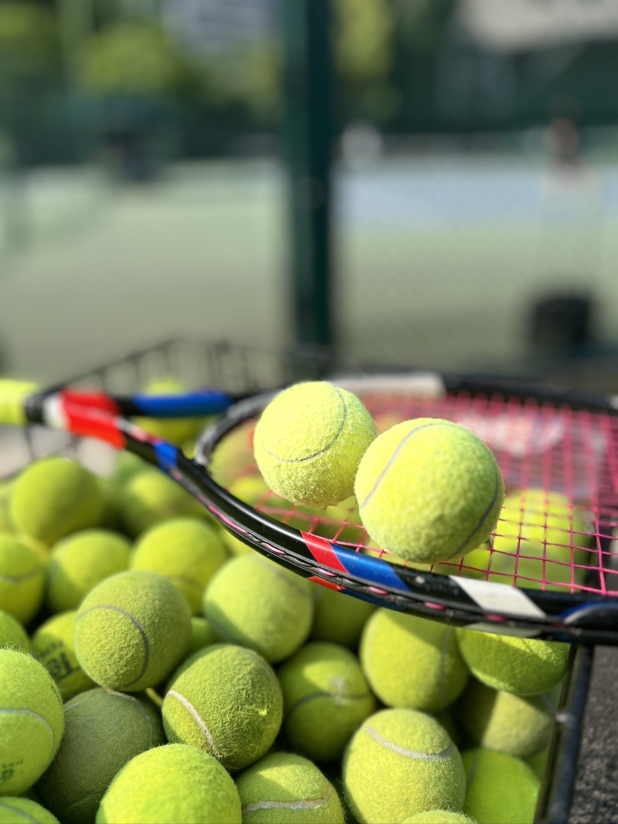 周琦集锦 周琦集锦